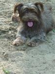     
: P1020104.jpg
: 5
:	82.5 
ID:	9959614