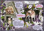     
: Машенька (2).jpg
: 14
:	248.0 
ID:	9960295