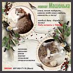     
: Машенька_Аркад&#10.jpg
: 10
:	161.0 
ID:	9960298