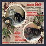     
: Бася.jpg
: 14
:	182.0 
ID:	9960306