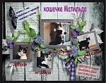     
: Матильда.jpg
: 14
:	140.4 
ID:	9960307