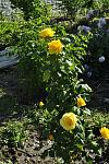     
: _DSC6103.jpg
: 8
:	172.2 
ID:	9960644