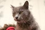     
: Ff37J1ux-Vg.jpg
: 34
:	29.3 
ID:	9962555