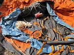     
: IMG_4197.jpg
: 16
:	227.4 
ID:	9962702