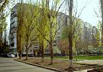     
: Копия DSC04907.jpg
: 19
:	255.8 
ID:	9963108
