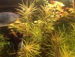     
: IMG_20150528_131304.jpg
: 14
:	170.1 
ID:	9963318