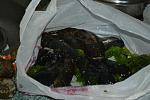     
: DSC_0232_1.jpg
: 18
:	44.6 
ID:	9964455