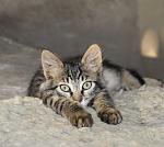     
: IKABRdYIOA8.jpg
: 12
:	90.1 
ID:	9967501