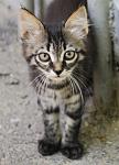     
: 4dOU7zrFQvo.jpg
: 13
:	75.9 
ID:	9967519