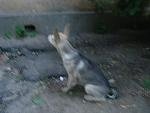     
: DSC02716.JPG
: 12
:	115.4 
ID:	9970025