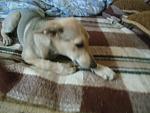     
: DSC02686.JPG
: 12
:	116.8 
ID:	9970034