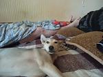     
: DSC02684.JPG
: 14
:	117.9 
ID:	9970037