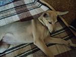     
: DSC02690.JPG
: 14
:	117.1 
ID:	9970039