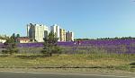     
: 060620153240-cut.jpg
: 136
:	108.9 
ID:	9971772