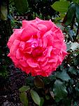     
: IMG_20150531_181627.jpg
: 6
:	121.0 
ID:	9974228