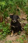     
: DSC_0008.jpg
: 29
:	136.5 
ID:	9974402