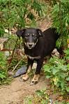     
: DSC_0009.jpg
: 21
:	138.9 
ID:	9974403