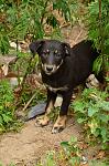     
: DSC_0010.jpg
: 20
:	139.9 
ID:	9974404