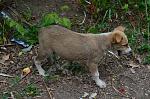     
: DSC_0002.jpg
: 27
:	181.3 
ID:	9974405
