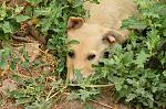     
: DSC_0012.jpg
: 26
:	203.1 
ID:	9974407