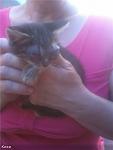     
: 472fbe9da5b9.jpg
: 21
:	37.7 
ID:	9975937