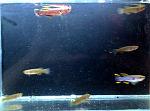    
: 20150613_162621.jpg
: 34
:	255.1 
ID:	9976889