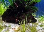     
: 20150613_161159.jpg
: 42
:	273.2 
ID:	9976896
