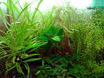     
: 20150613_161849.jpg
: 33
:	127.1 
ID:	9976897
