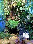     
: 20150613_163154.jpg
: 36
:	154.8 
ID:	9976900