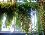     
: 20150613_163300.jpg
: 42
:	151.1 
ID:	9976901