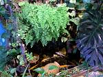     
: 20150613_163240.jpg
: 39
:	135.7 
ID:	9976902