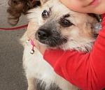     
: x_12e8f7a3.jpg
: 22
:	22.3 
ID:	9982059