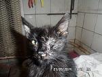     
: SAM_3254.jpg
: 17
:	128.8 
ID:	9982317