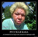     
: image.jpg
: 68
:	109.6 
ID:	9983027