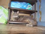     
: DSC00154.jpg
: 21
:	117.0 
ID:	9984286