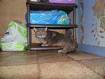     
: DSC00158.jpg
: 15
:	127.4 
ID:	9984288