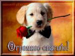     
: 146506319.jpg
: 14
:	44.4 
ID:	9985650