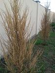    
: 20150620_194911.jpg
: 14
:	171.1 
ID:	9985914