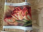    
: 20150604_222549.jpg
: 17
:	165.2 
ID:	9986354