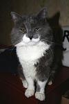     
: C9aUaasNLIQ.jpg
: 12
:	97.5 
ID:	9992105