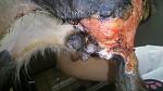     
: DSC_0122.jpg
: 39
:	102.4 
ID:	9993209