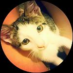     
: 11535672_463517207143636_1749489896501992360_n.jpg
: 9
:	83.7 
ID:	9996917