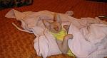     
: z_5d2c858d.jpg
: 12
:	92.6 
ID:	9998231
