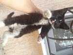     
: 20150622_152612.jpg
: 26
:	156.6 
ID:	9998684