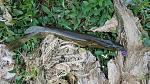     
: 20150623_053353.jpg
: 243
:	213.5 
ID:	9999752