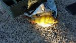     
: 20150623_065211.jpg
: 167
:	175.7 
ID:	9999754
