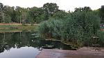     
: 20150623_050743.jpg
: 161
:	159.0 
ID:	9999760