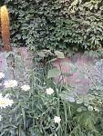     
: 20150620_184700.jpg
: 8
:	161.5 
ID:	9999946