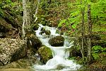     
: small_waterfalls.jpg
: 15
:	148.5 
ID:	7404711