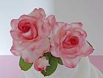     
: set  No 1 - white and pink roses - 2.jpg
: 149
:	242.9 
ID:	7968765